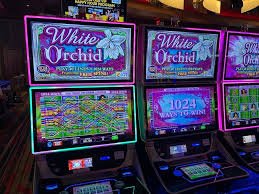 Fitur bonus putaran gratis dalam permainan Lucky Twins yang menampilkan pengganda aktif
